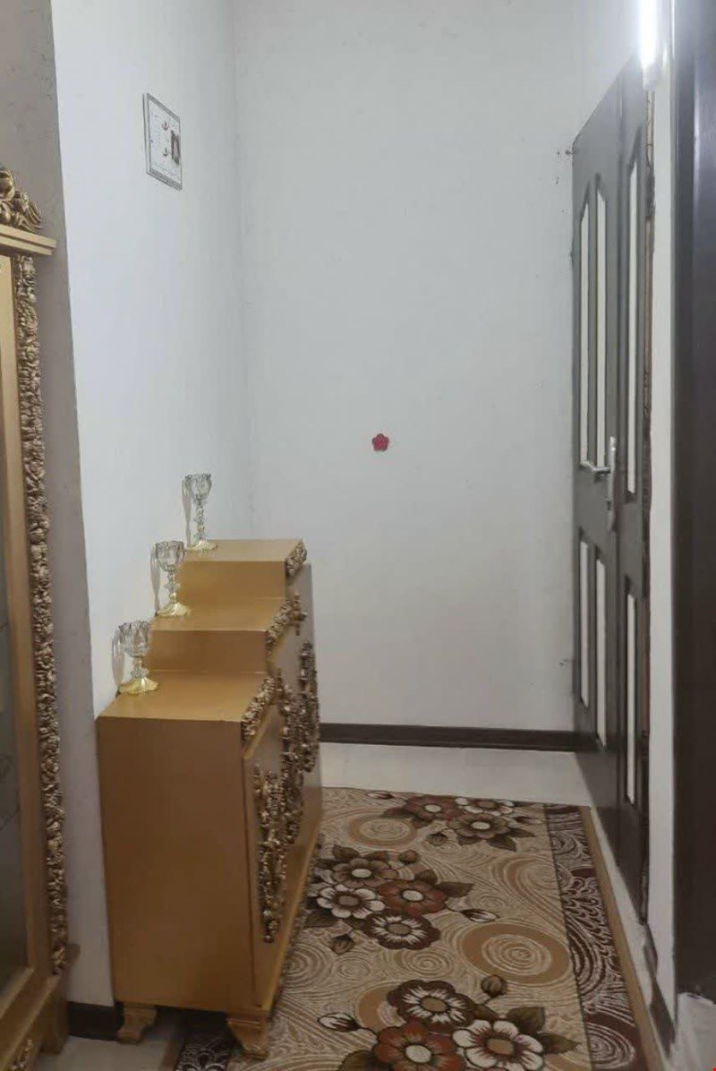 ورودی